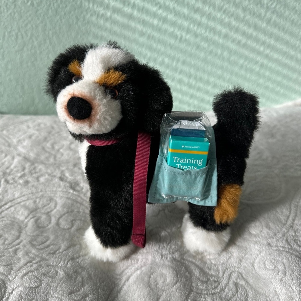American Girl Doll Nicki service dog retired